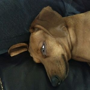 Meet your Posher, Ada